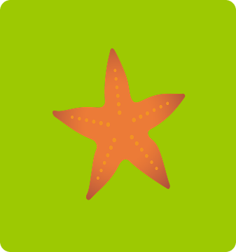 reviews